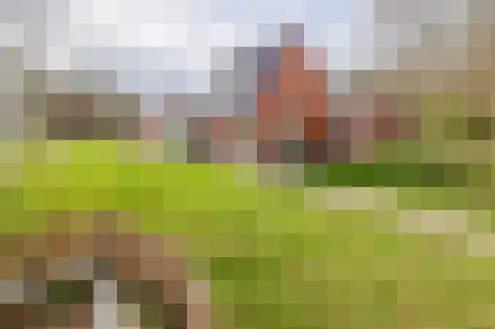 de Vosholen 58 Sappemeer thumbnail 6