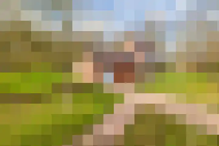 de Vosholen 58 Sappemeer thumbnail 60
