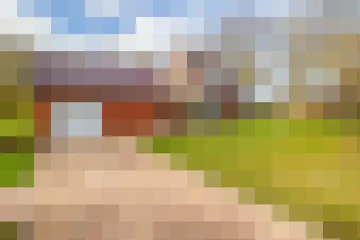 de Vosholen 58 Sappemeer thumbnail 61
