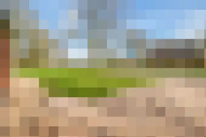 de Vosholen 58 Sappemeer thumbnail 62