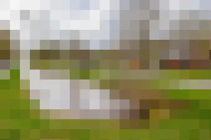 de Vosholen 58 Sappemeer thumbnail 64