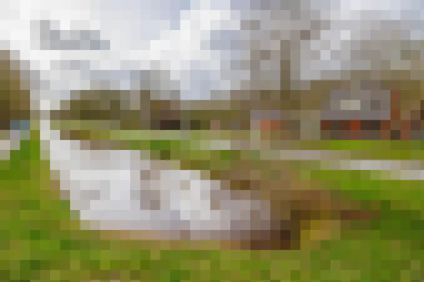 de Vosholen 58 Sappemeer thumbnail 64