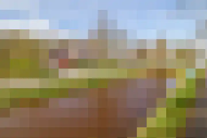 de Vosholen 58 Sappemeer thumbnail 65
