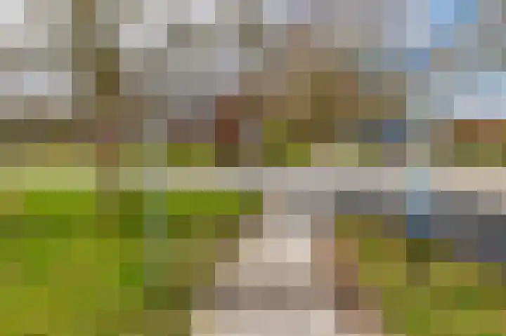 de Vosholen 58 Sappemeer thumbnail 66