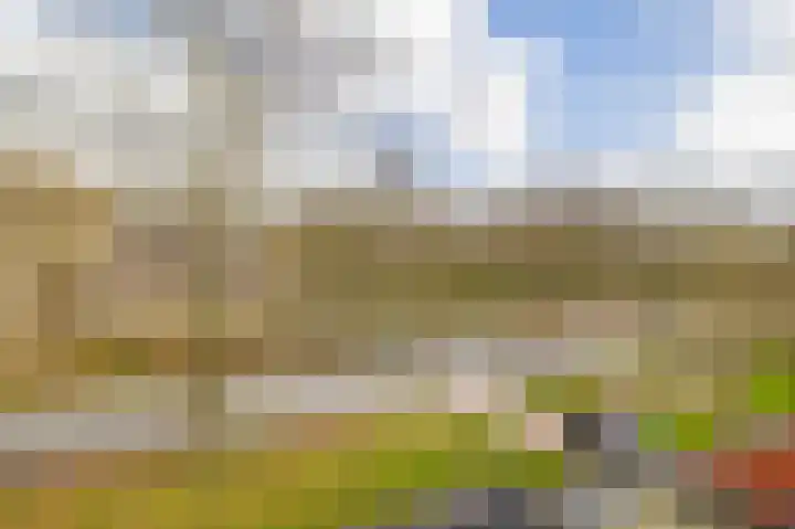 de Vosholen 58 Sappemeer thumbnail 67