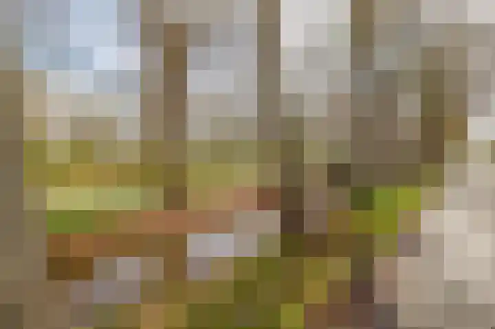de Vosholen 58 Sappemeer thumbnail 68