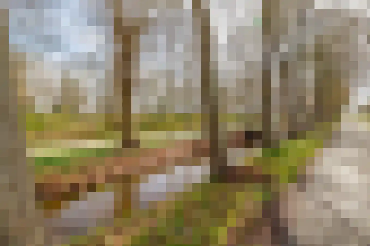 de Vosholen 58 Sappemeer thumbnail 68