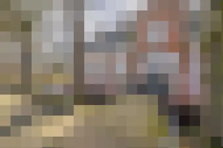 de Vosholen 58 Sappemeer thumbnail 69