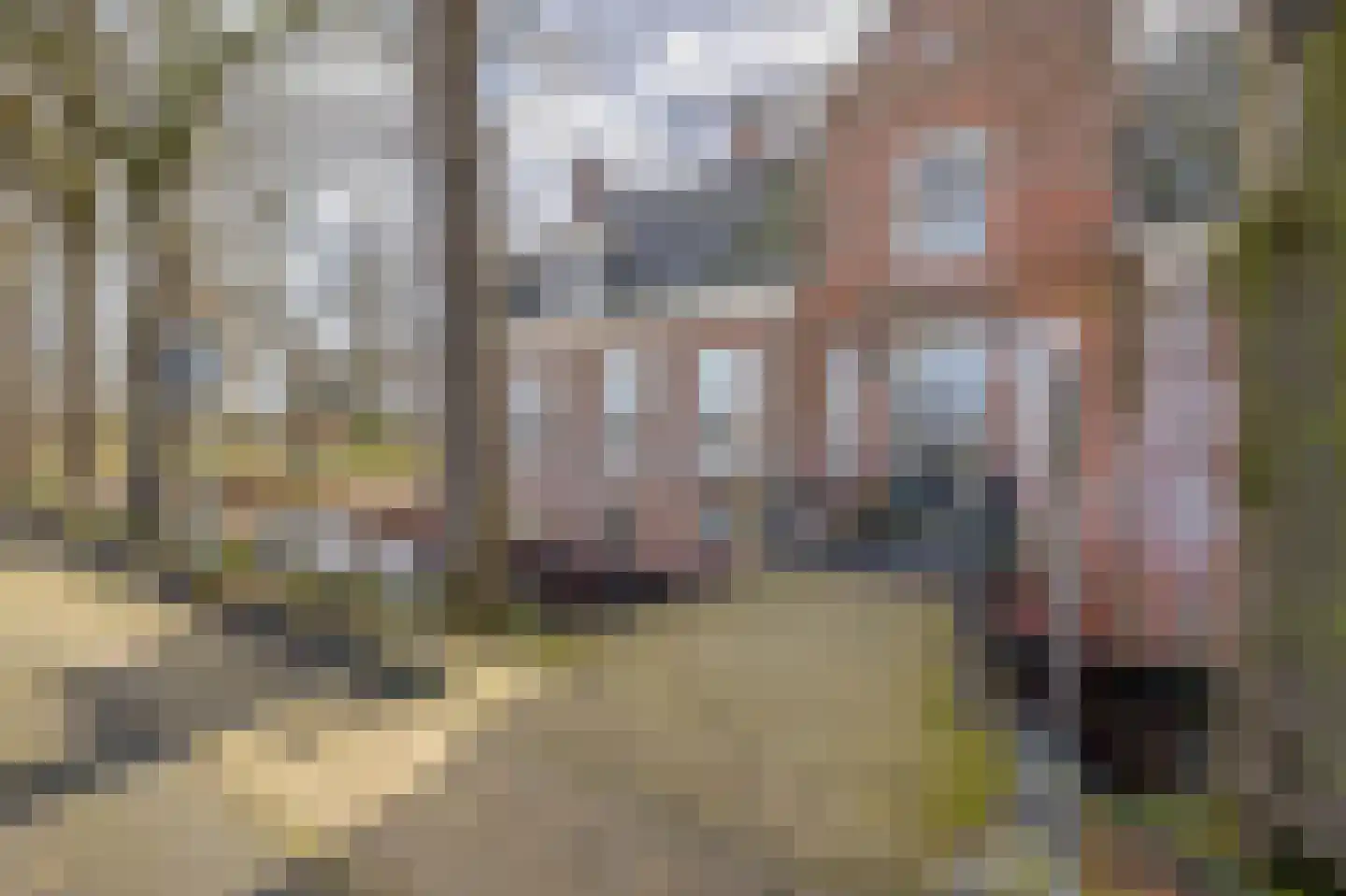 de Vosholen 58 Sappemeer thumbnail 69