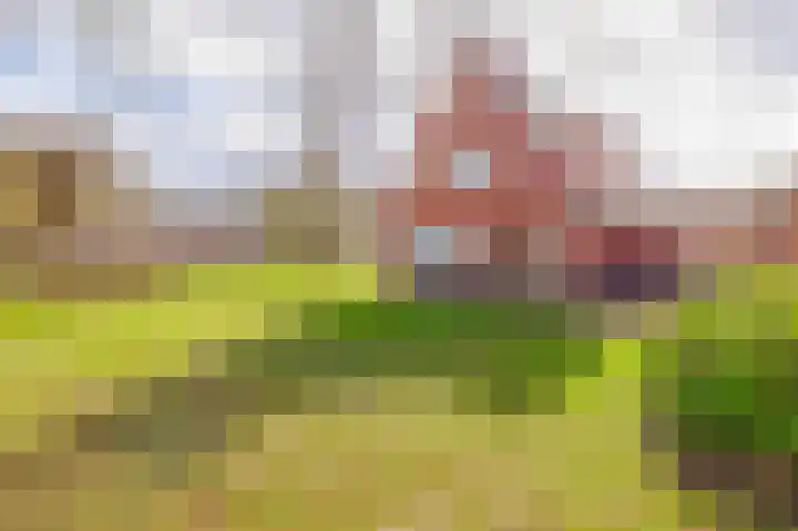 de Vosholen 58 Sappemeer thumbnail 7