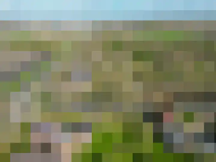 de Vosholen 58 Sappemeer thumbnail 70