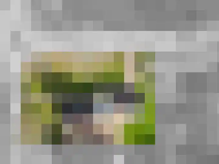 de Vosholen 58 Sappemeer thumbnail 73