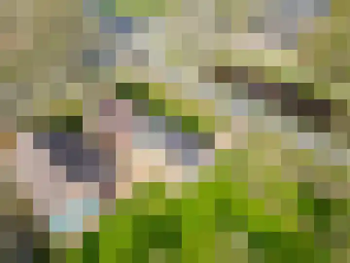 de Vosholen 58 Sappemeer thumbnail 74