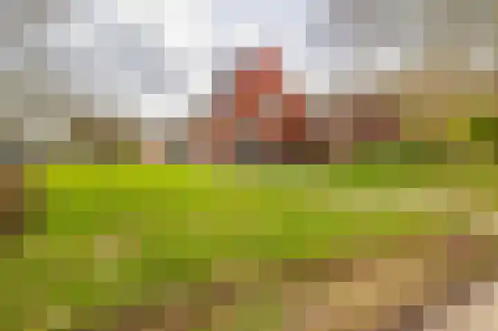 de Vosholen 58 Sappemeer thumbnail 75
