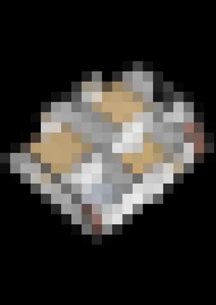 de Vosholen 58 Sappemeer thumbnail 79