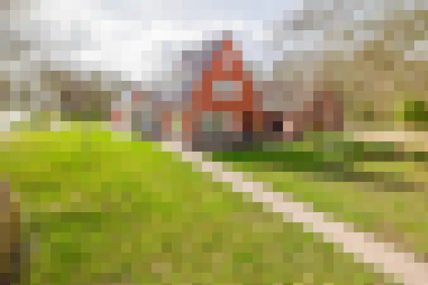 de Vosholen 58 Sappemeer thumbnail 88