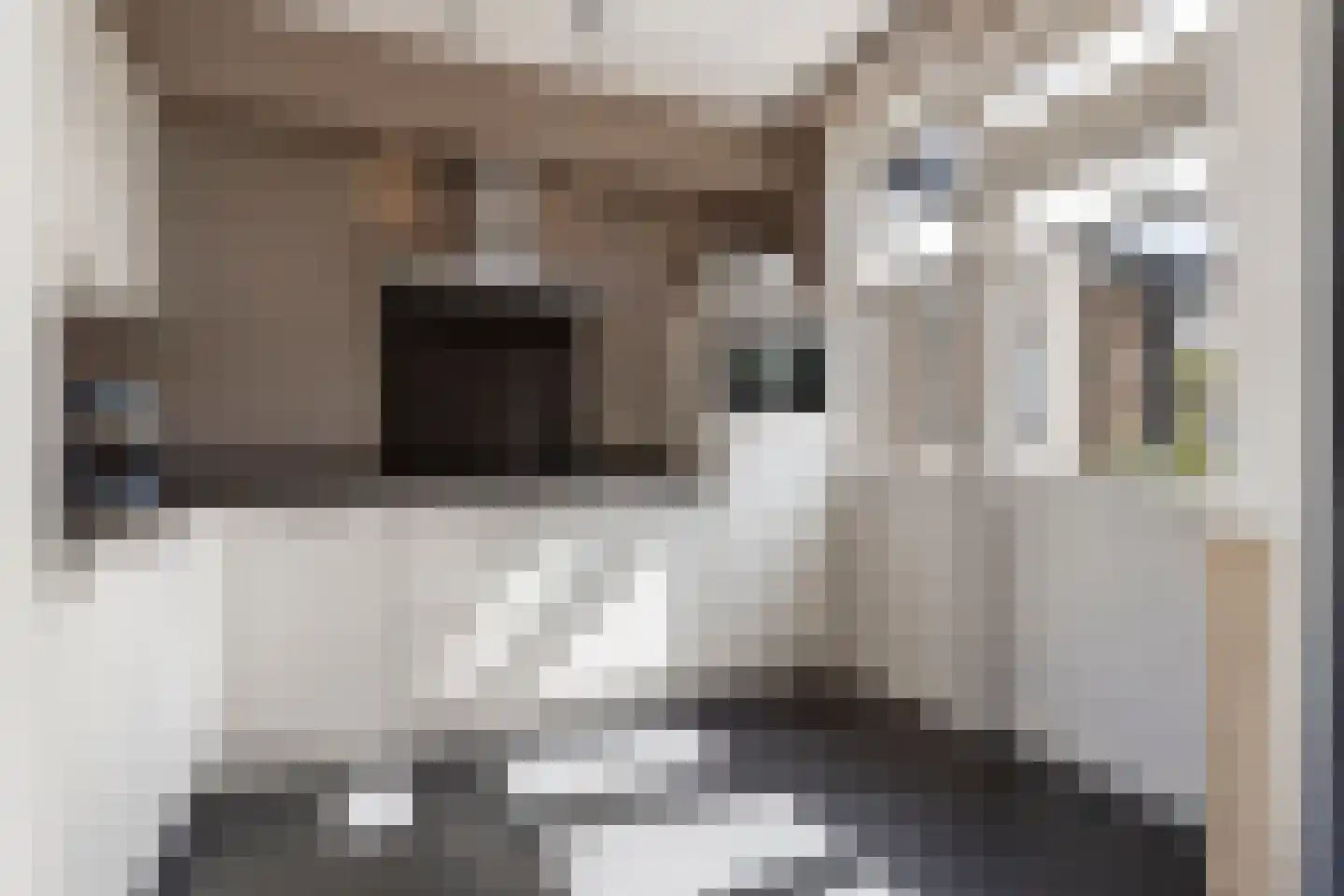 de Vosplantsoen 15 Hulst thumbnail 14