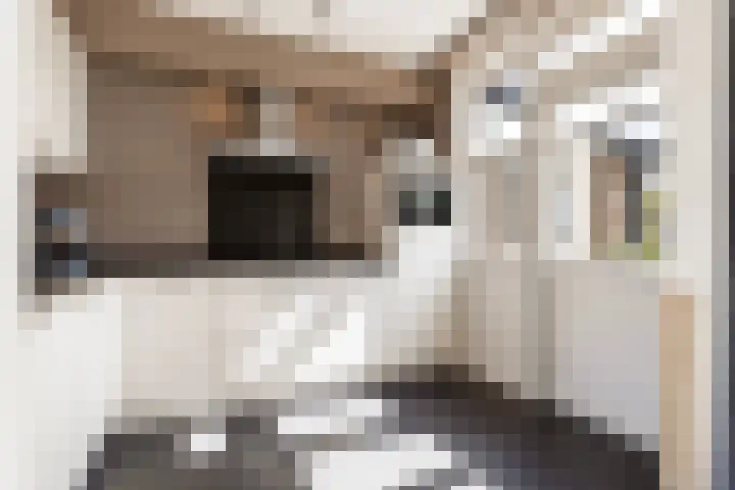 de Vosplantsoen 15 Hulst thumbnail 14