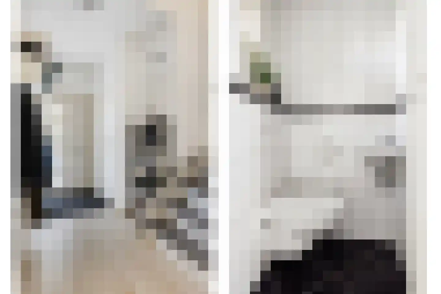 de Vosplantsoen 15 Hulst thumbnail 17