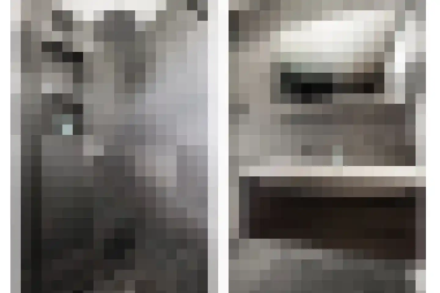 de Vosplantsoen 15 Hulst thumbnail 22