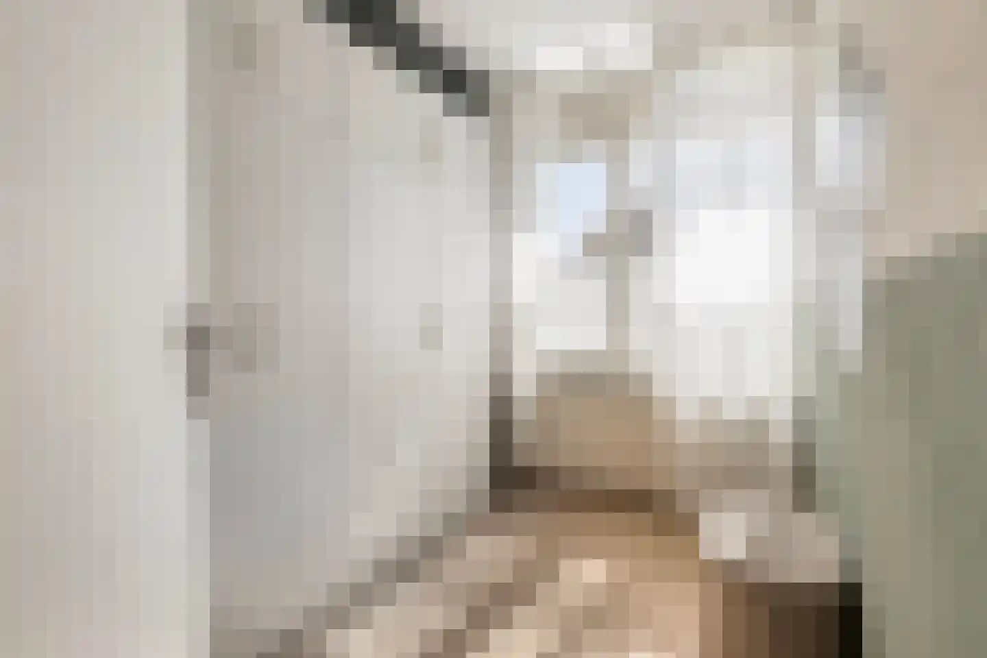 de Vosplantsoen 15 Hulst thumbnail 24