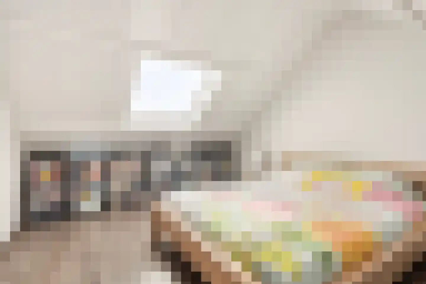 de Vosplantsoen 15 Hulst thumbnail 26