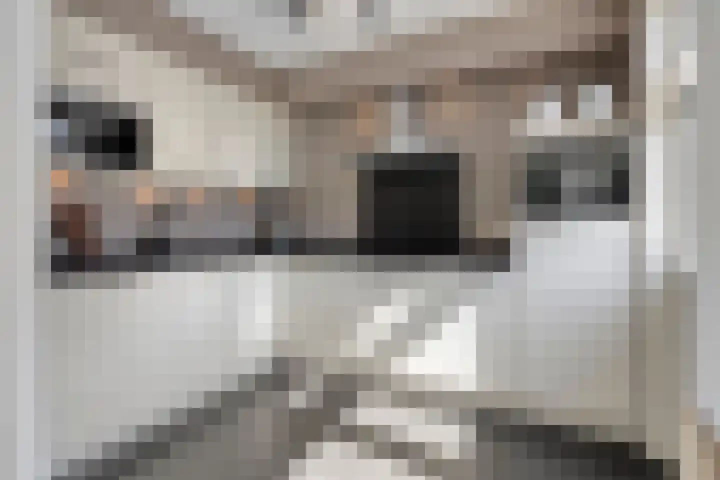 de Vosplantsoen 15 Hulst thumbnail 4