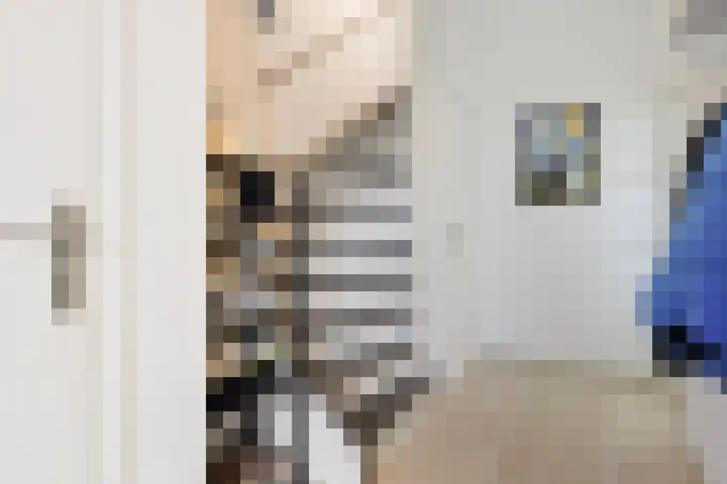 de Vosplantsoen 15 Hulst thumbnail 8