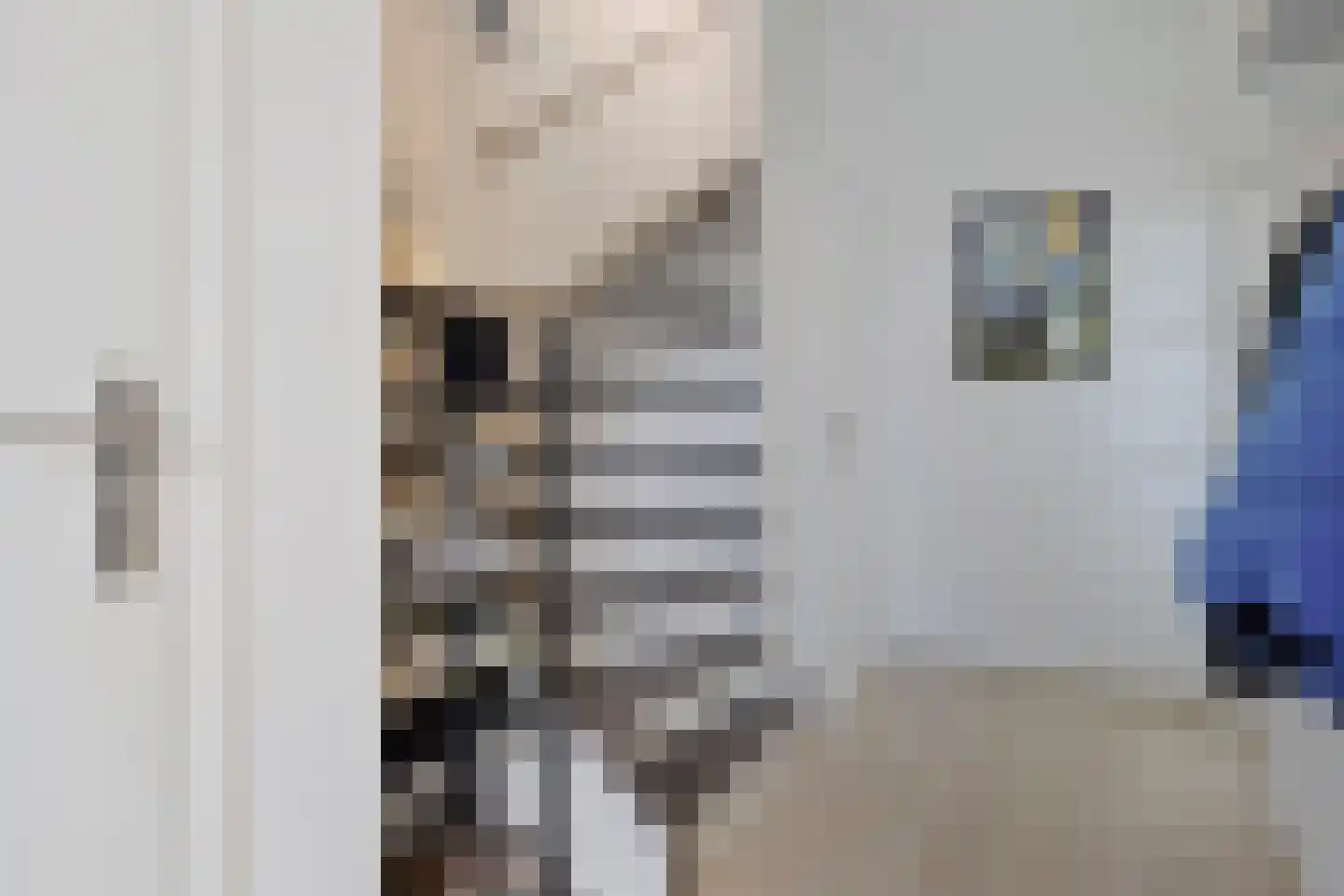 de Vosplantsoen 15 Hulst thumbnail 8