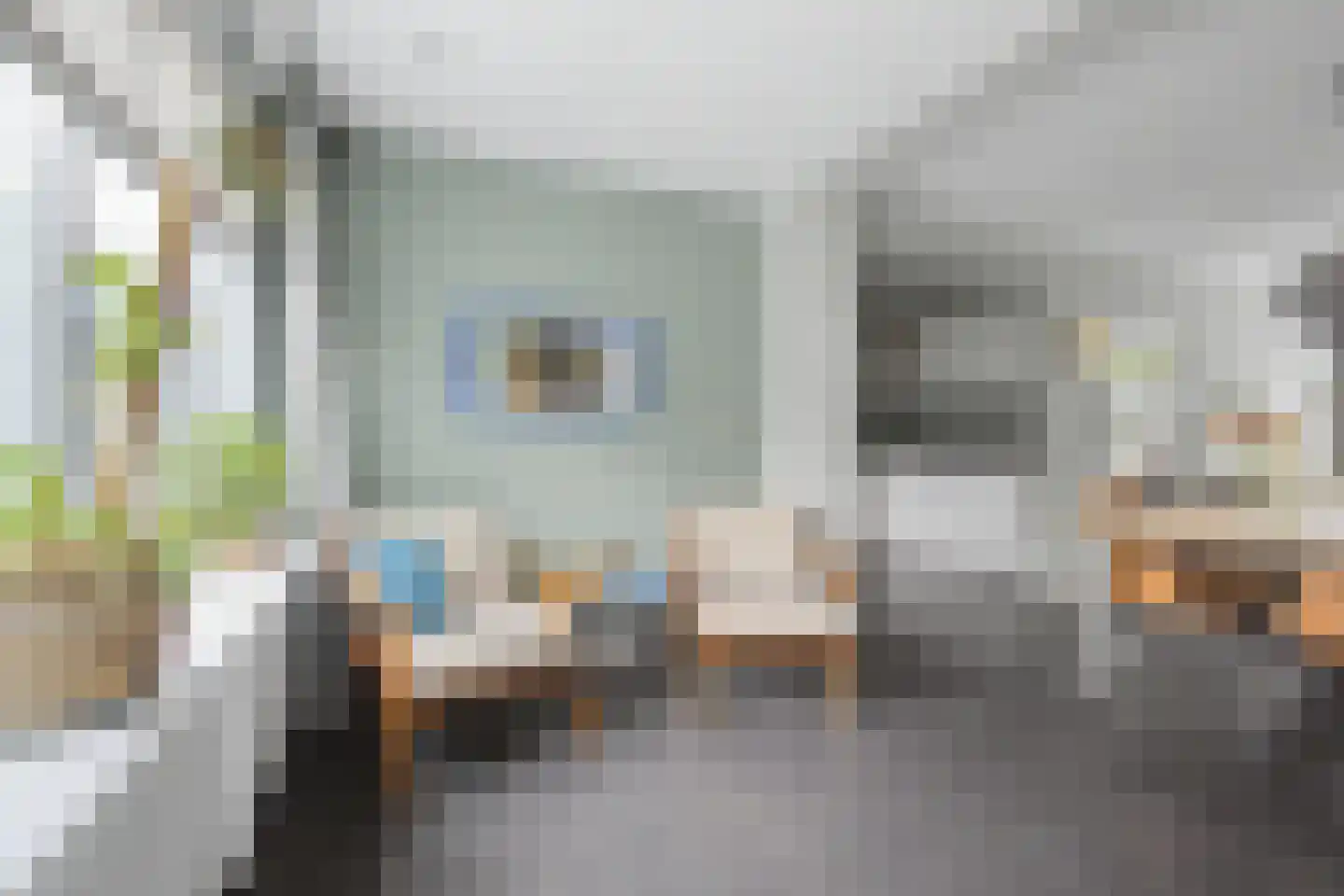 de Vosplantsoen 17 Hulst thumbnail 10