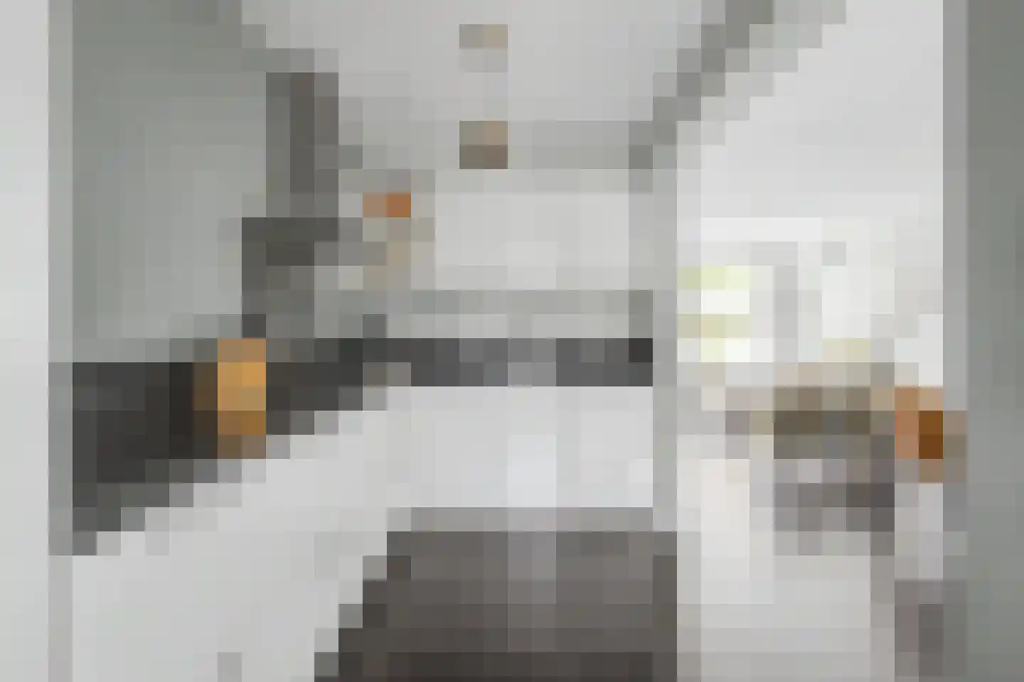de Vosplantsoen 17 Hulst thumbnail 13