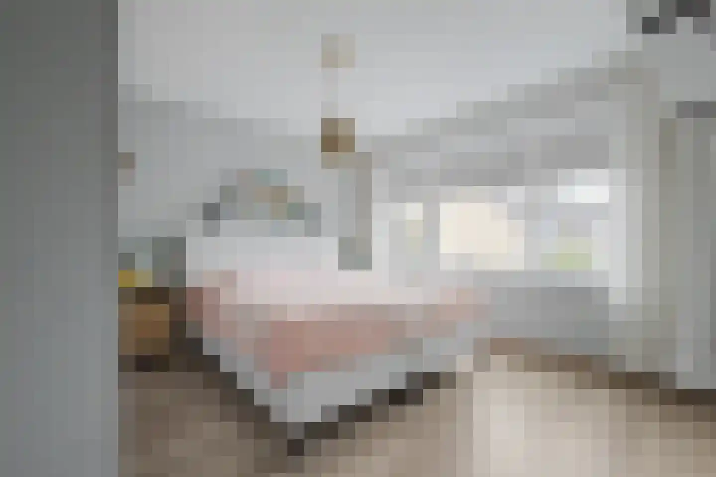 de Vosplantsoen 17 Hulst thumbnail 18