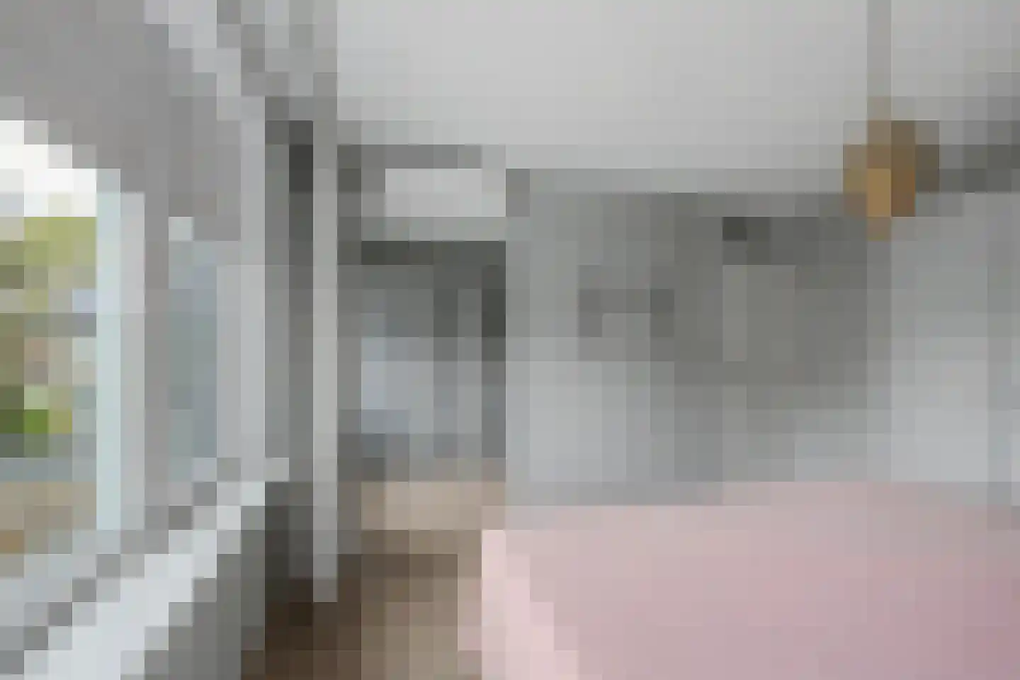 de Vosplantsoen 17 Hulst thumbnail 19