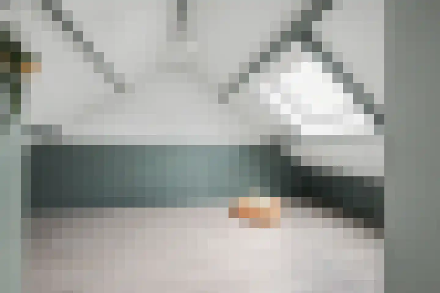 de Vosplantsoen 17 Hulst thumbnail 28