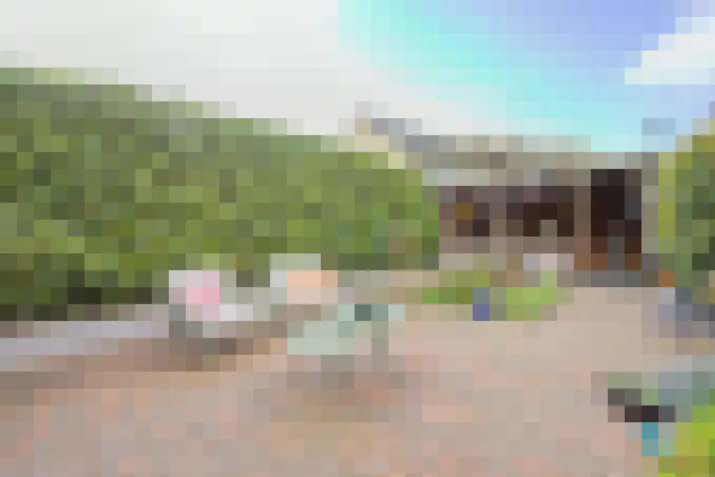 de Vosplantsoen 17 Hulst thumbnail 31