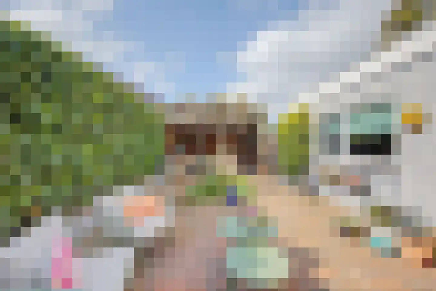 de Vosplantsoen 17 Hulst thumbnail 32