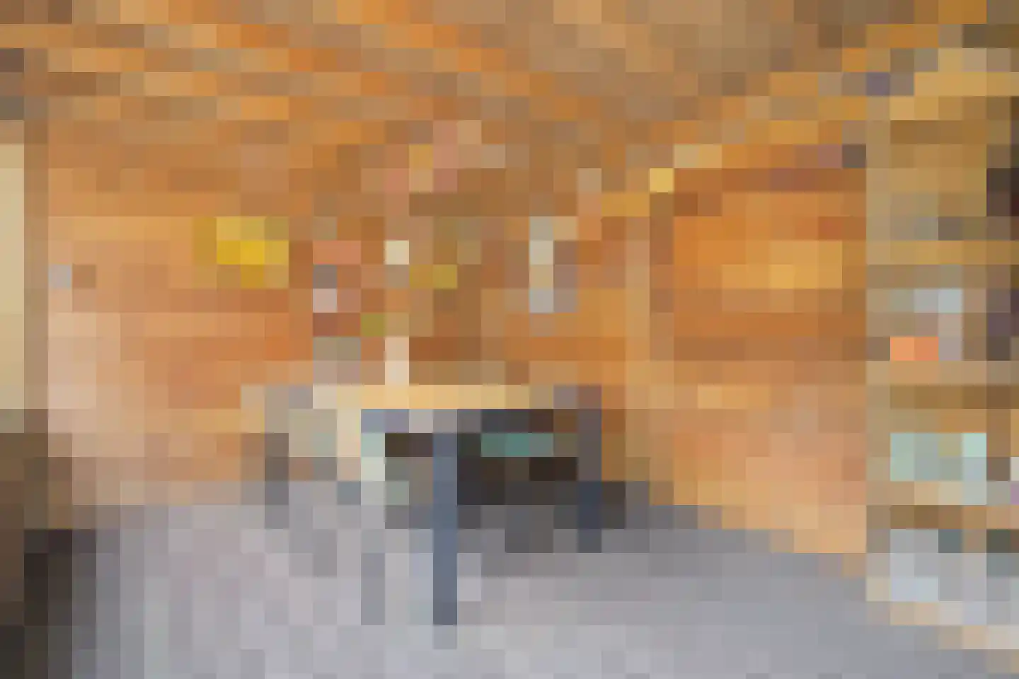 de Vosplantsoen 17 Hulst thumbnail 34