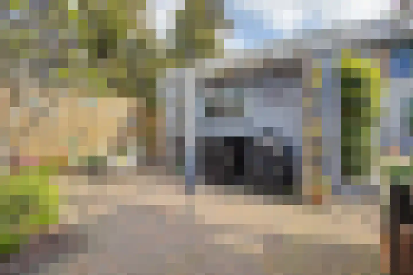 de Vosplantsoen 17 Hulst thumbnail 35