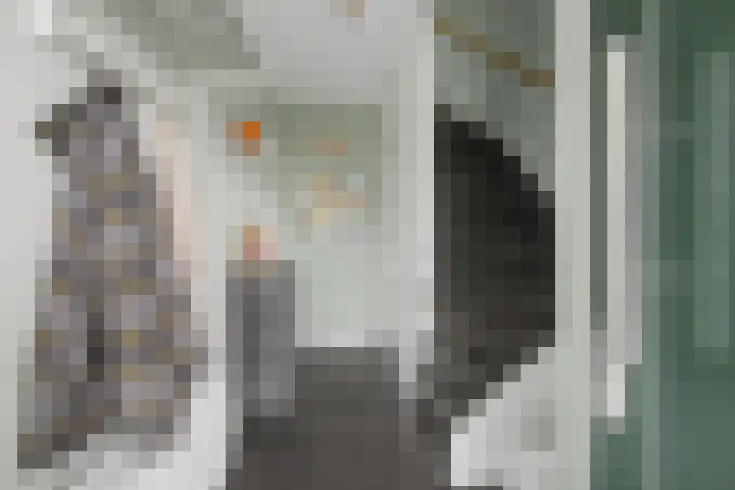 de Vosplantsoen 17 Hulst thumbnail 5