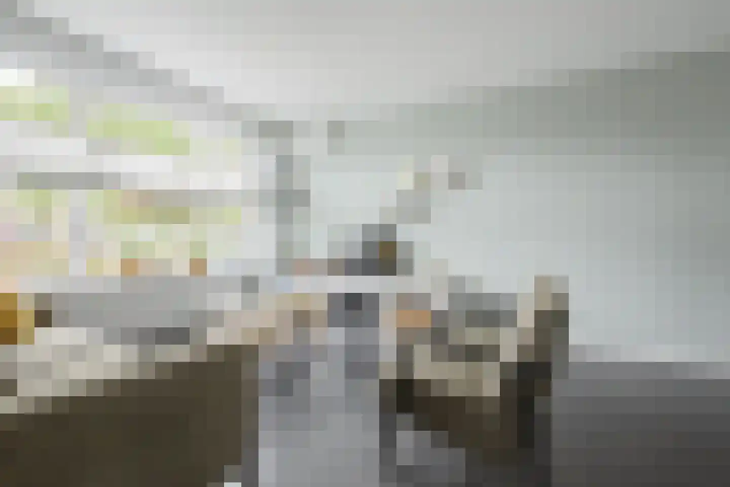 de Vosplantsoen 17 Hulst thumbnail 6