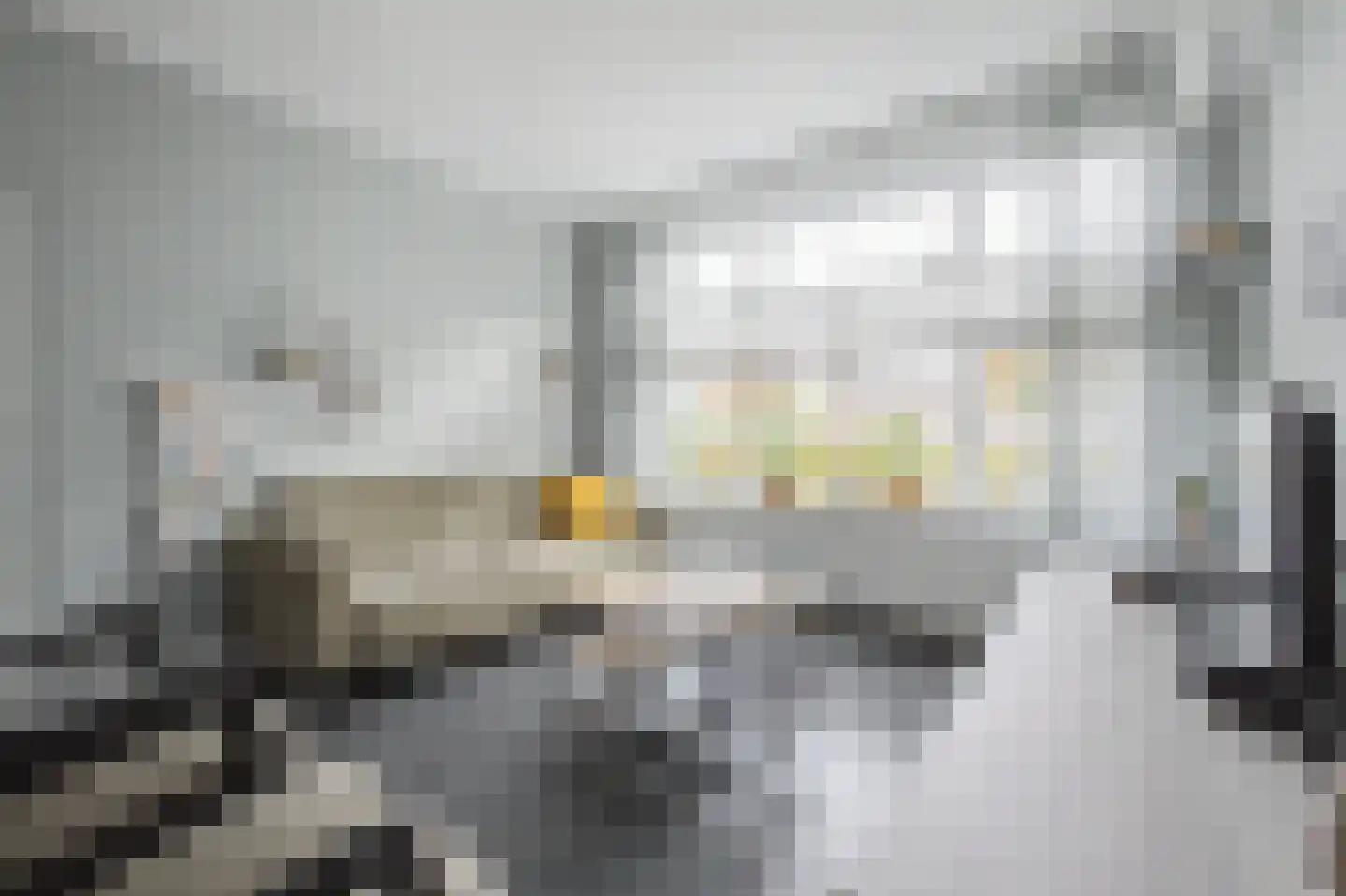 de Vosplantsoen 17 Hulst thumbnail 7