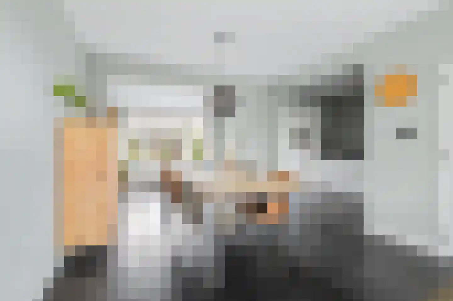 de Vosplantsoen 17 Hulst thumbnail 9