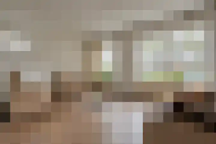 De Vossestaart 12 Dedemsvaart thumbnail 11