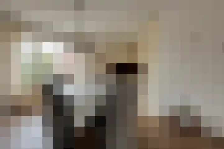 De Vossestaart 12 Dedemsvaart thumbnail 17