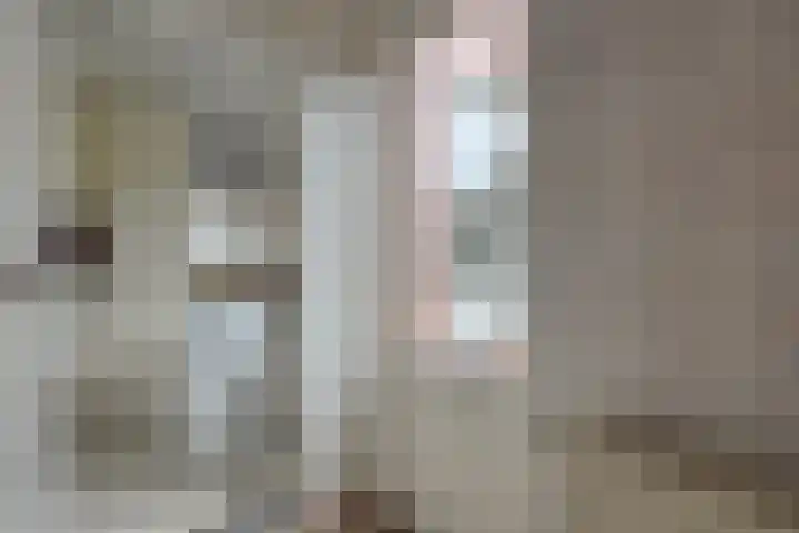 De Vossestaart 12 Dedemsvaart thumbnail 18