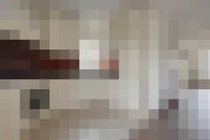 De Vossestaart 12 Dedemsvaart thumbnail 19