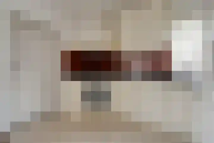De Vossestaart 12 Dedemsvaart thumbnail 20