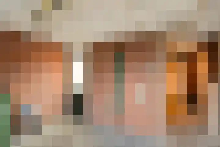 De Vossestaart 12 Dedemsvaart thumbnail 22