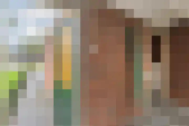 De Vossestaart 12 Dedemsvaart thumbnail 26