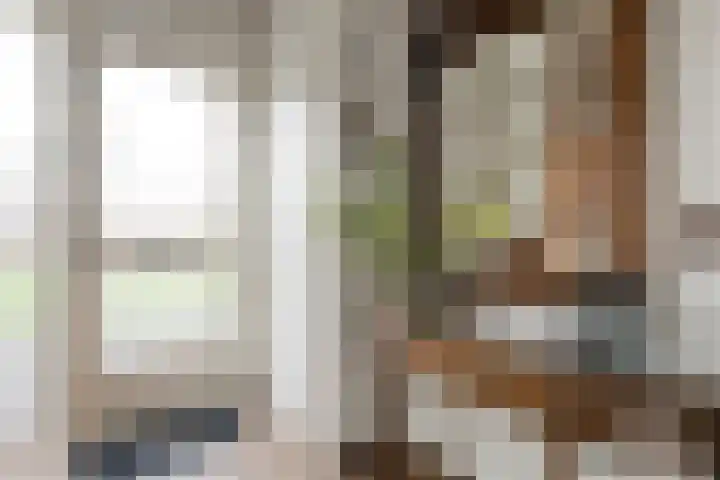 De Vossestaart 12 Dedemsvaart thumbnail 28